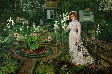 Der Garten des Rektors, Königin der Lilien, 1877